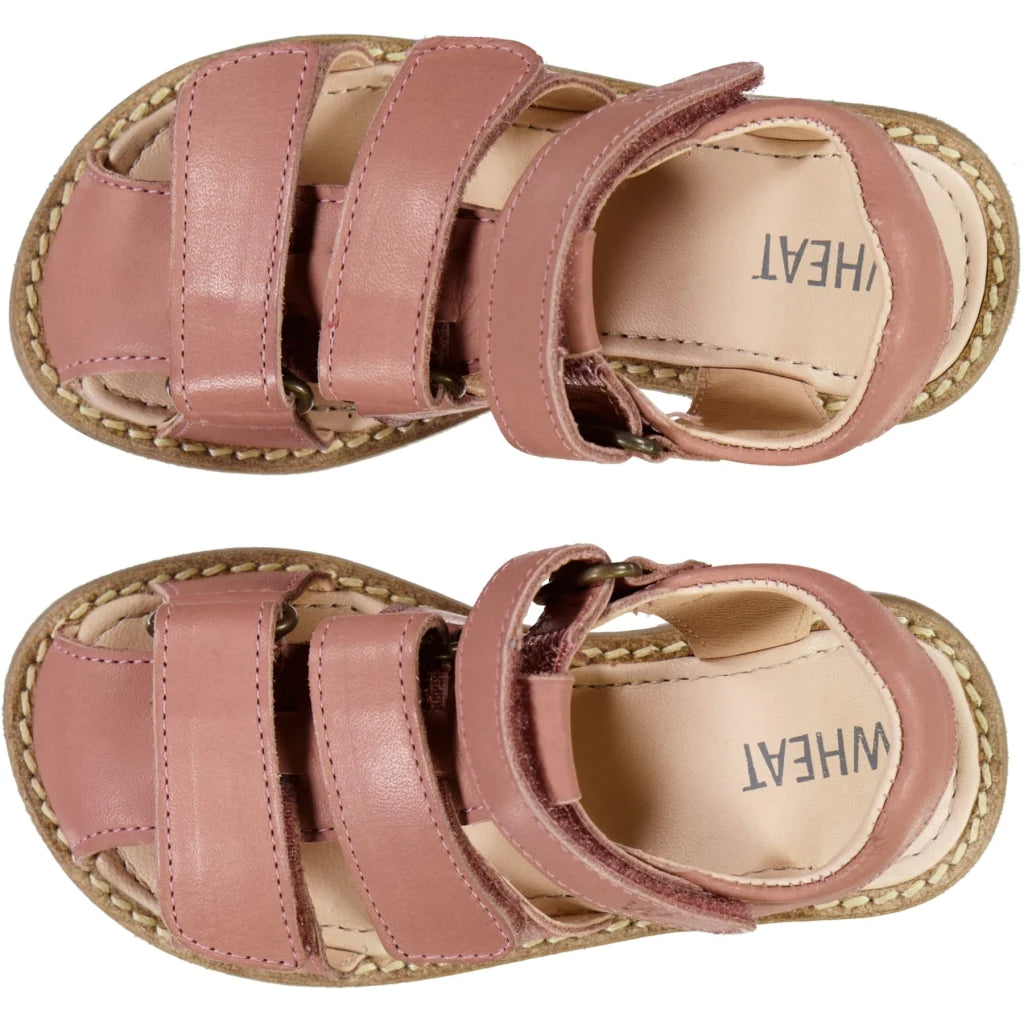Addison leather sandal - cameo blush